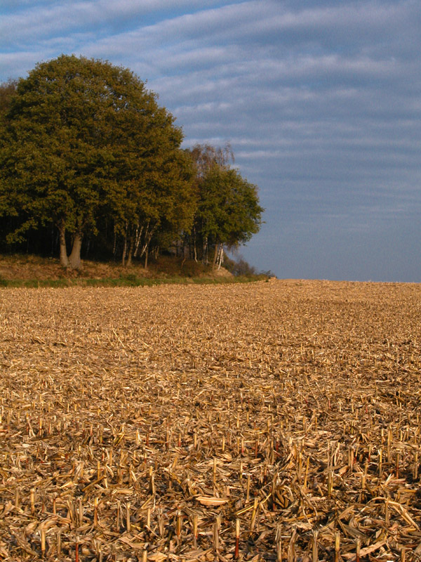 Die letzten Herbsttage 2005