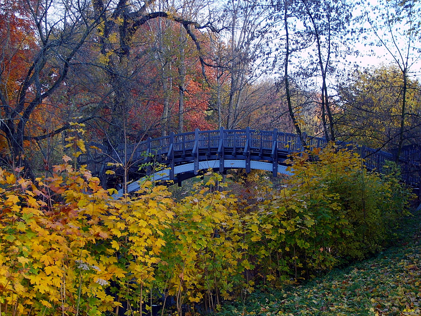 Die letzten Herbsttage