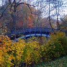 Die letzten Herbsttage