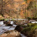 Die letzten Herbsttage an der kalten Bode bei Elend