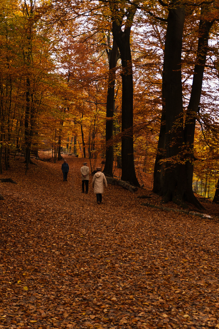 Die letzten Herbsttage