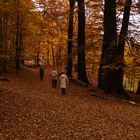 Die letzten Herbsttage