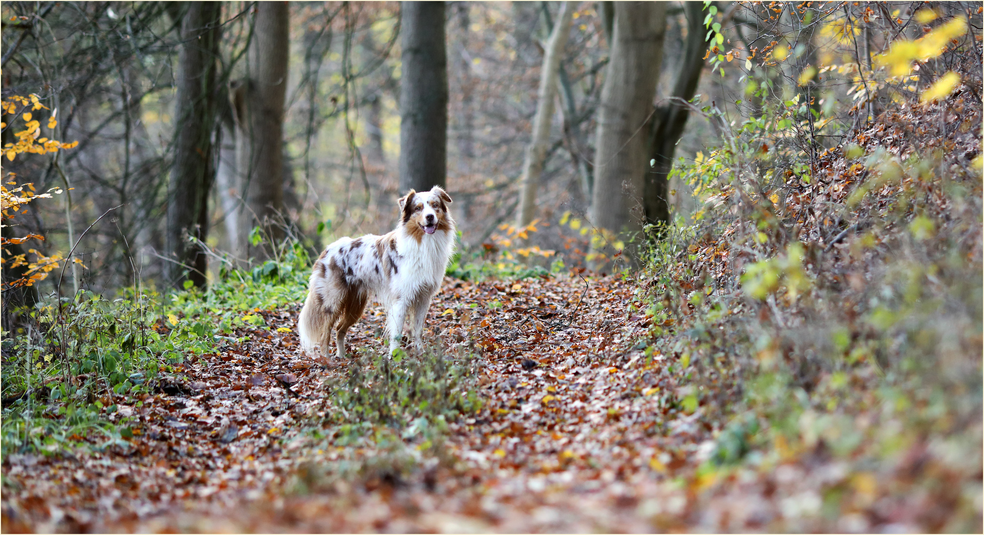 die letzten Herbsttage genießen