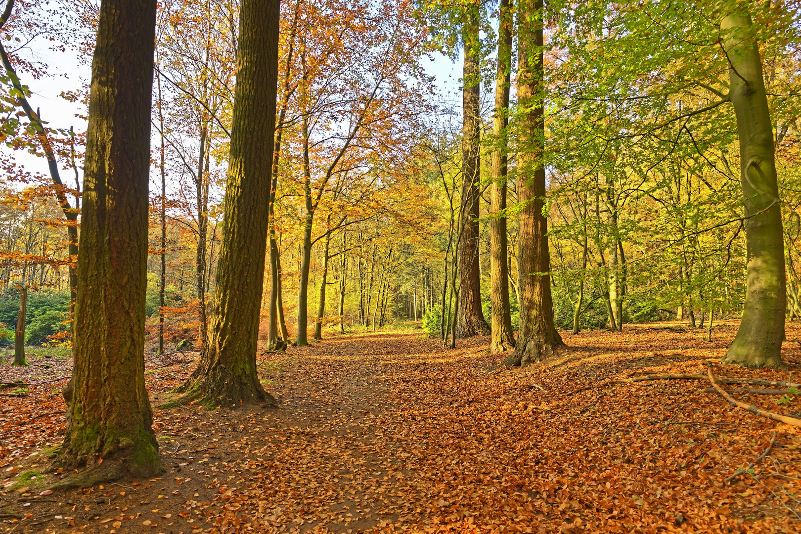 Die letzten Herbsttage genießen