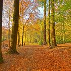 Die letzten Herbsttage genießen