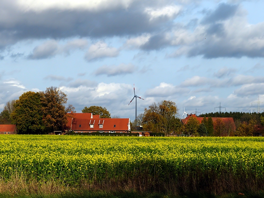 Die letzten leuchtenden Farben