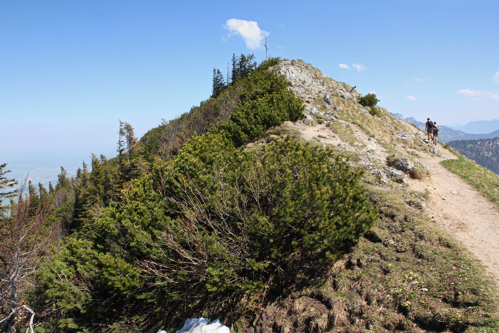 Die letzten Meter zum Jochberg 1565 m (9103_ji)