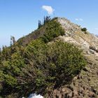 Die letzten Meter zum Jochberg 1565 m (9103_ji)