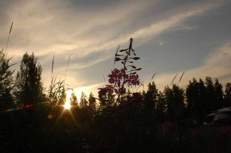 Die letzten Momente Sonnenlicht....