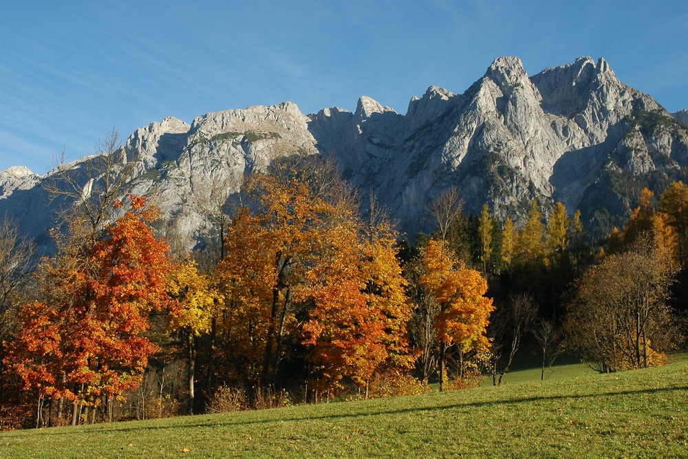 Die letzten satten Farben des Herbstes