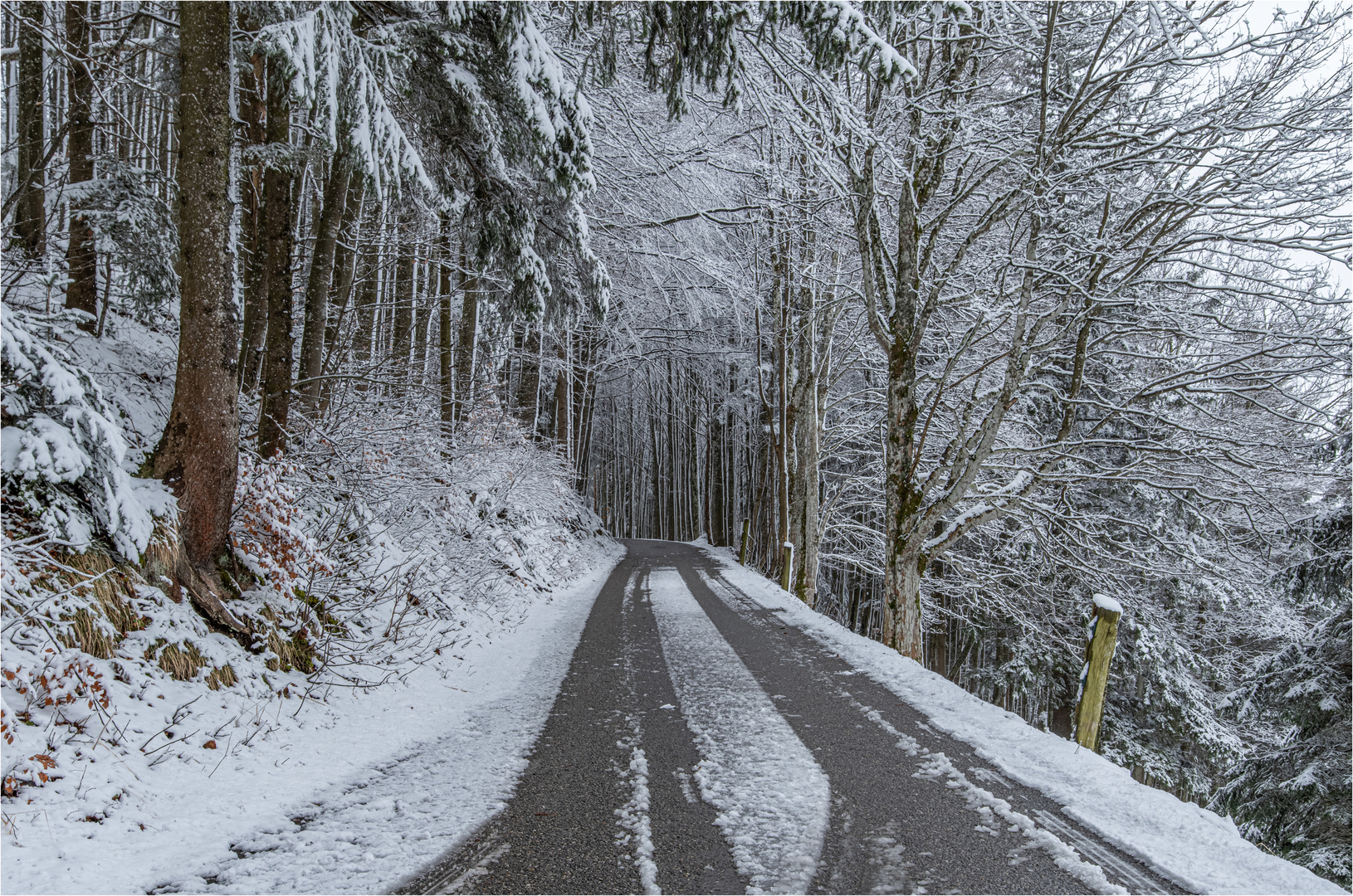 DIE LETZTEN SCHNEEFLOCKEN ?