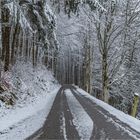 DIE LETZTEN SCHNEEFLOCKEN ?