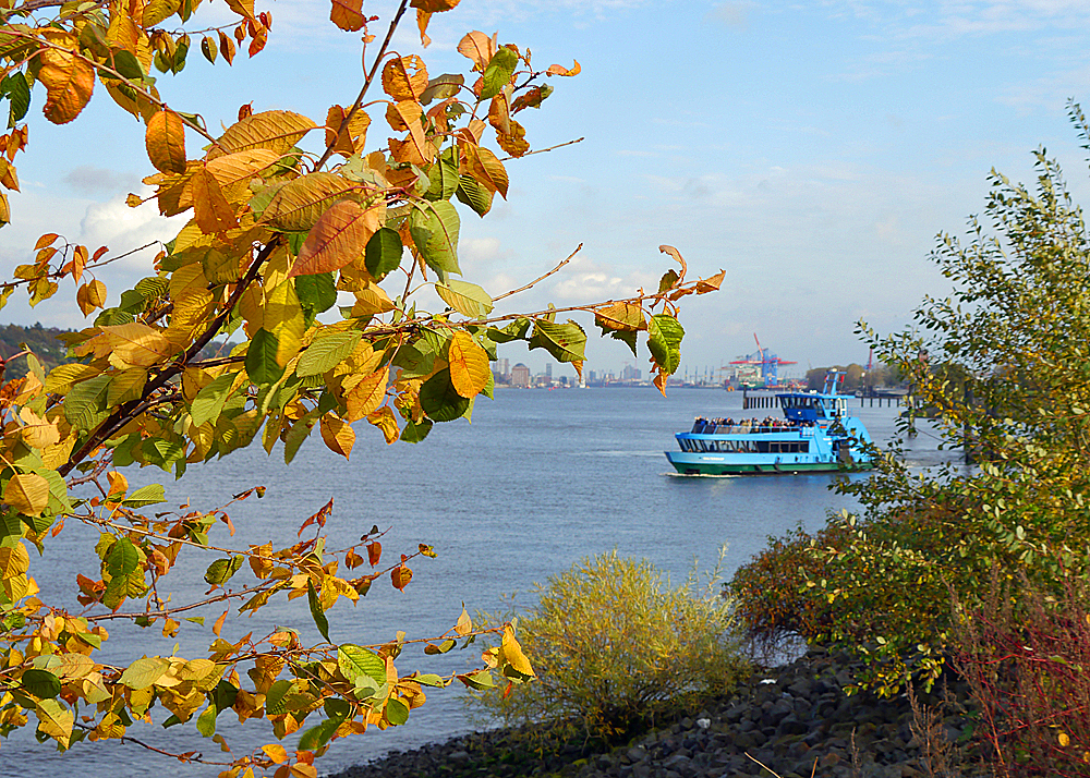 Die letzten schönen Herbsttage