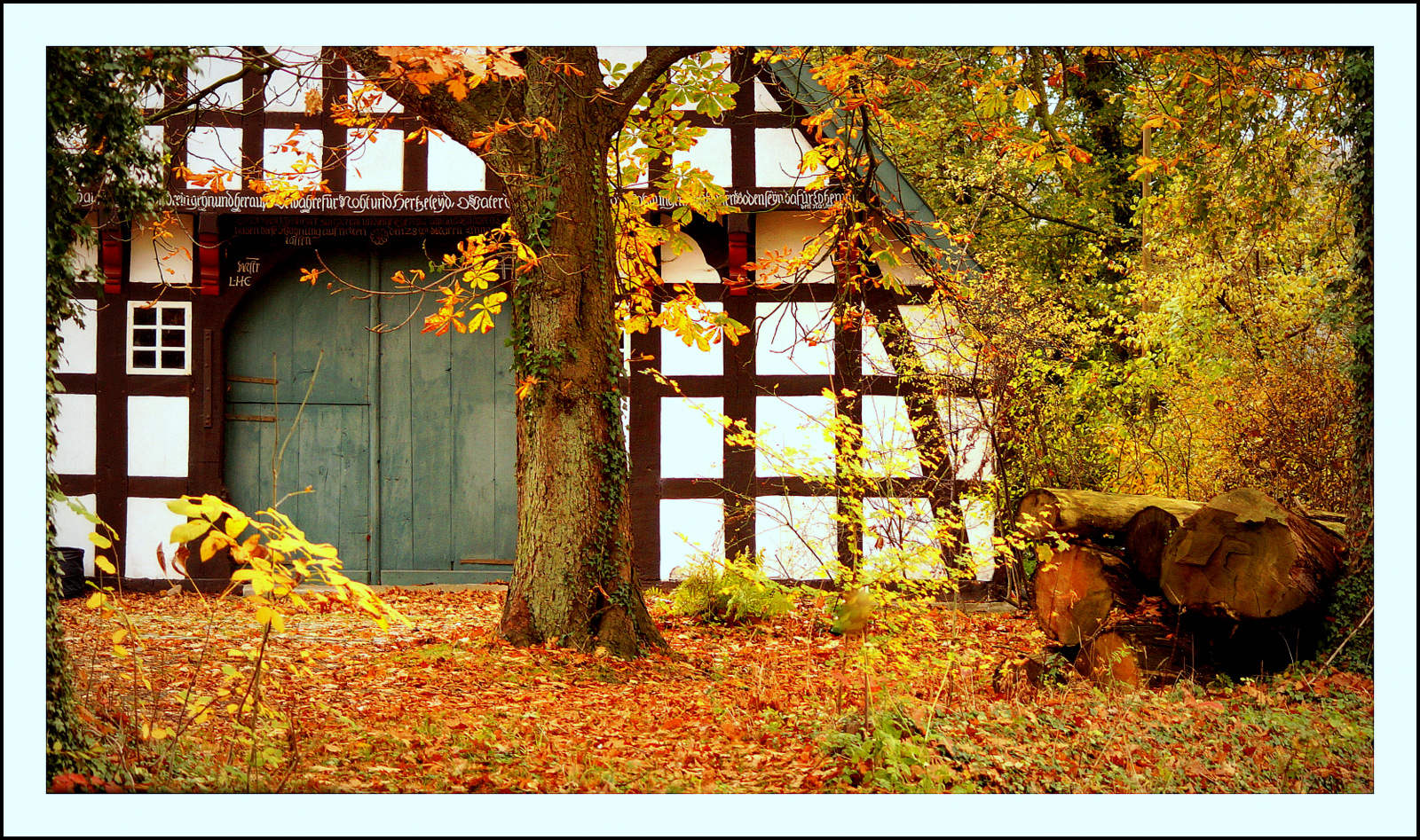 die letzten schönen Herbsttage