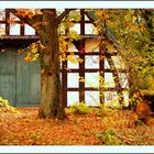 die letzten schönen Herbsttage