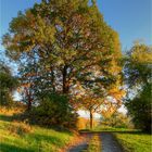 Die letzten schönen Herbsttage..... 