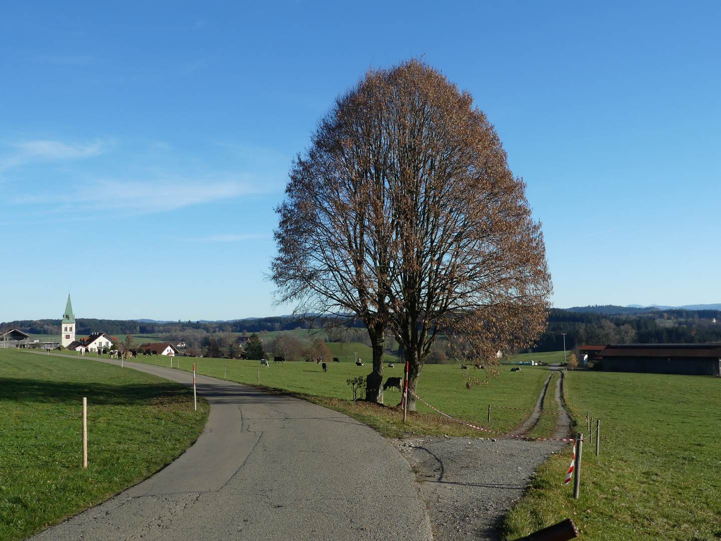 Die letzten schönen Novembertage