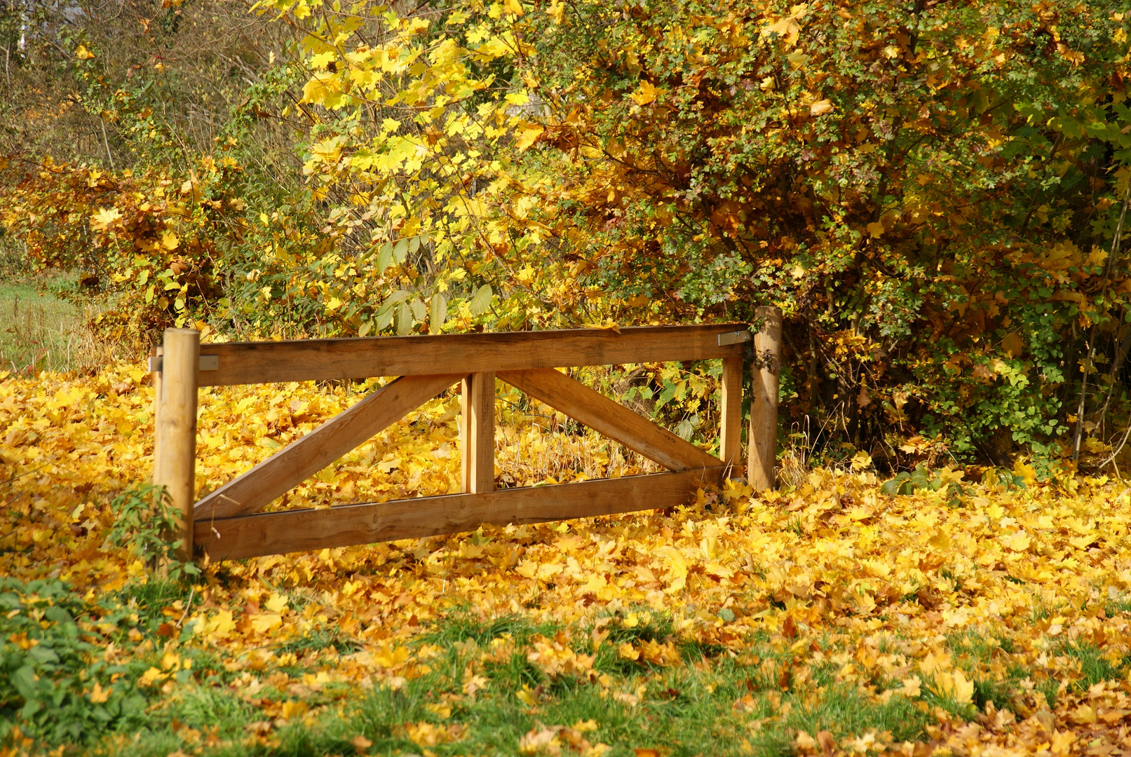 die letzten schönen Oktobertage