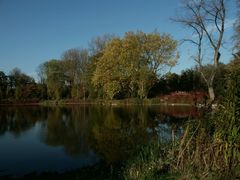 die letzten schönen Stunden in Herbst