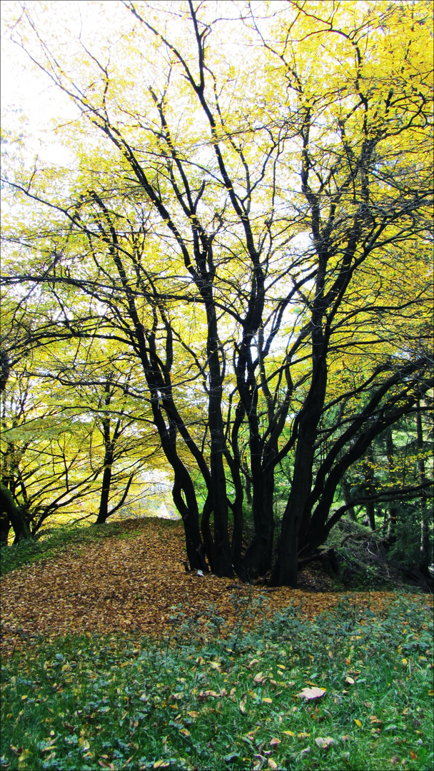 Die letzten schönen Tage im Herbst