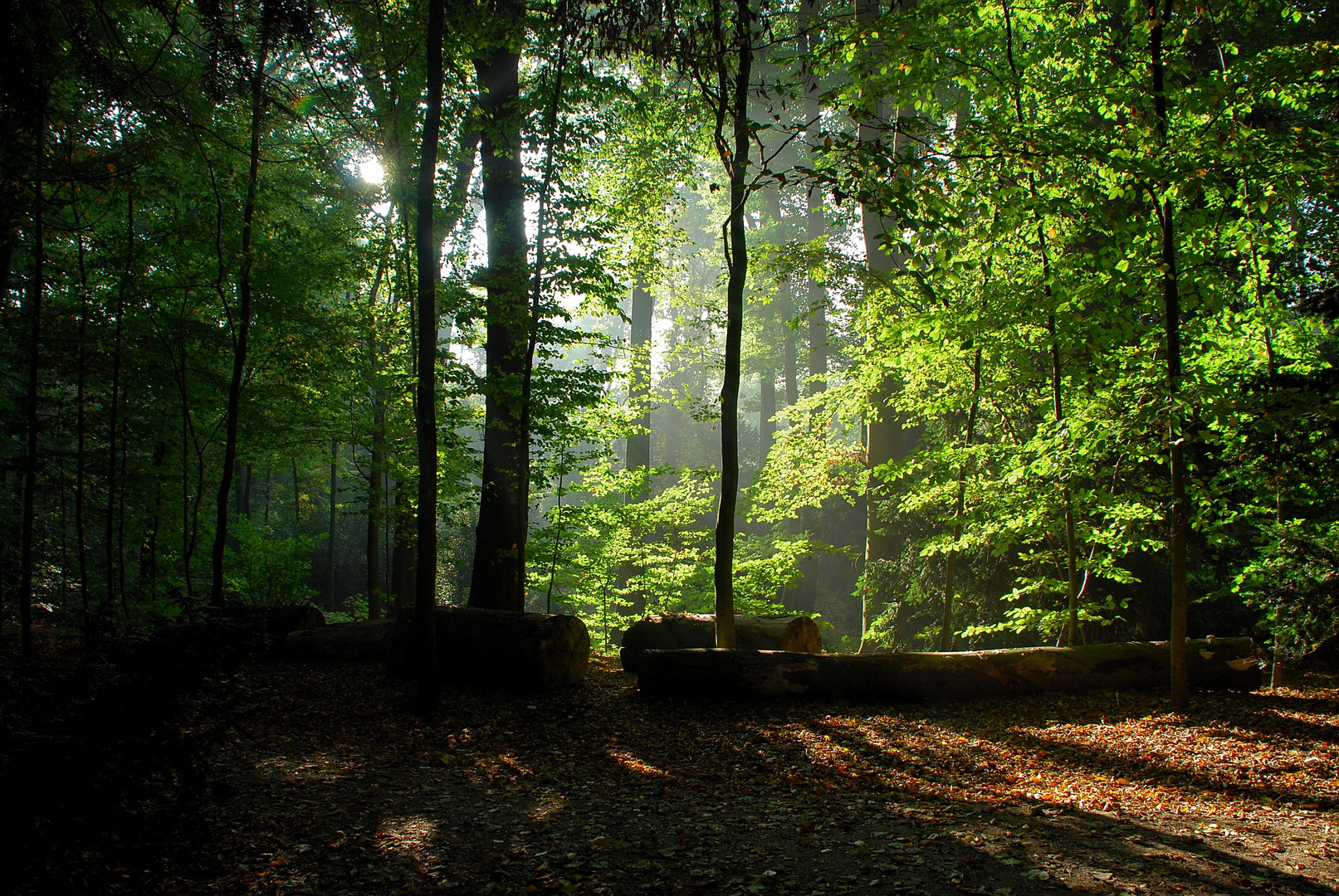 Die letzten Sonnensrahlen