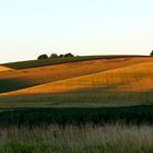 Die letzten Sonnenstrahlen