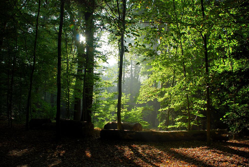 Die letzten Sonnenstrahlen