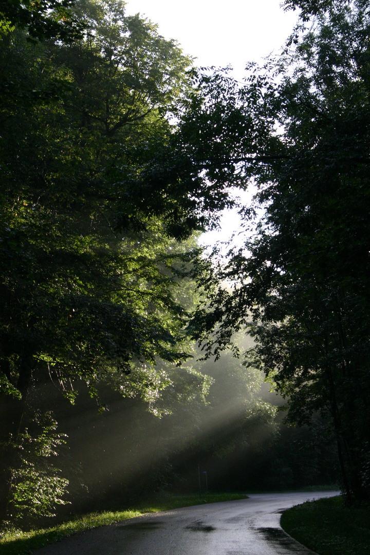 Die letzten Sonnenstrahlen 2