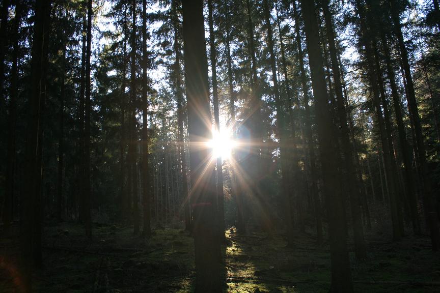 Die letzten Sonnenstrahlen