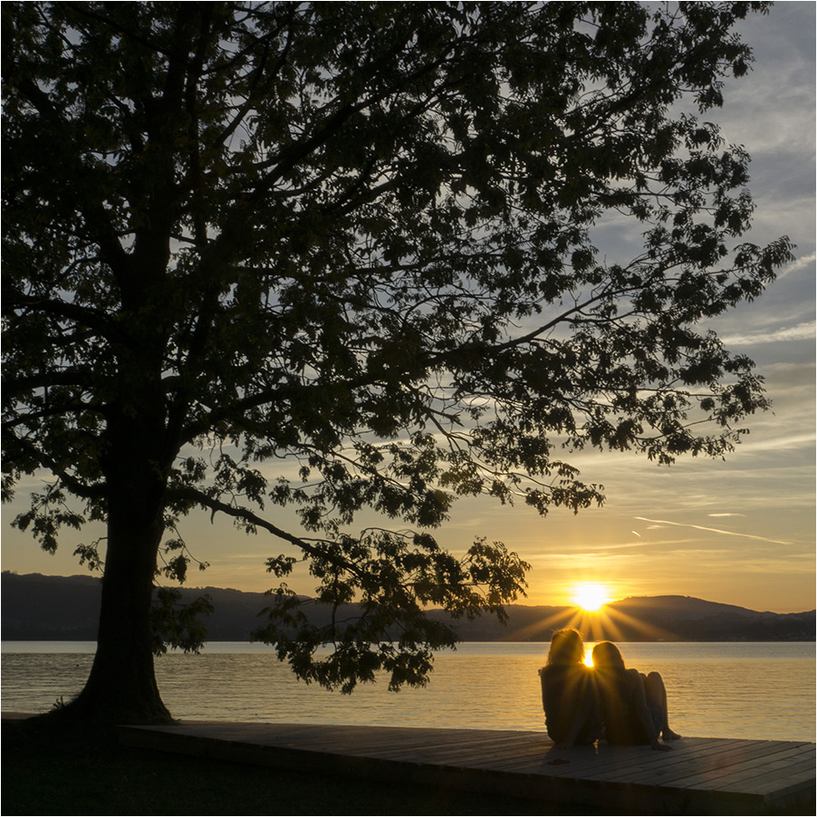 Die letzten Sonnenstrahlen