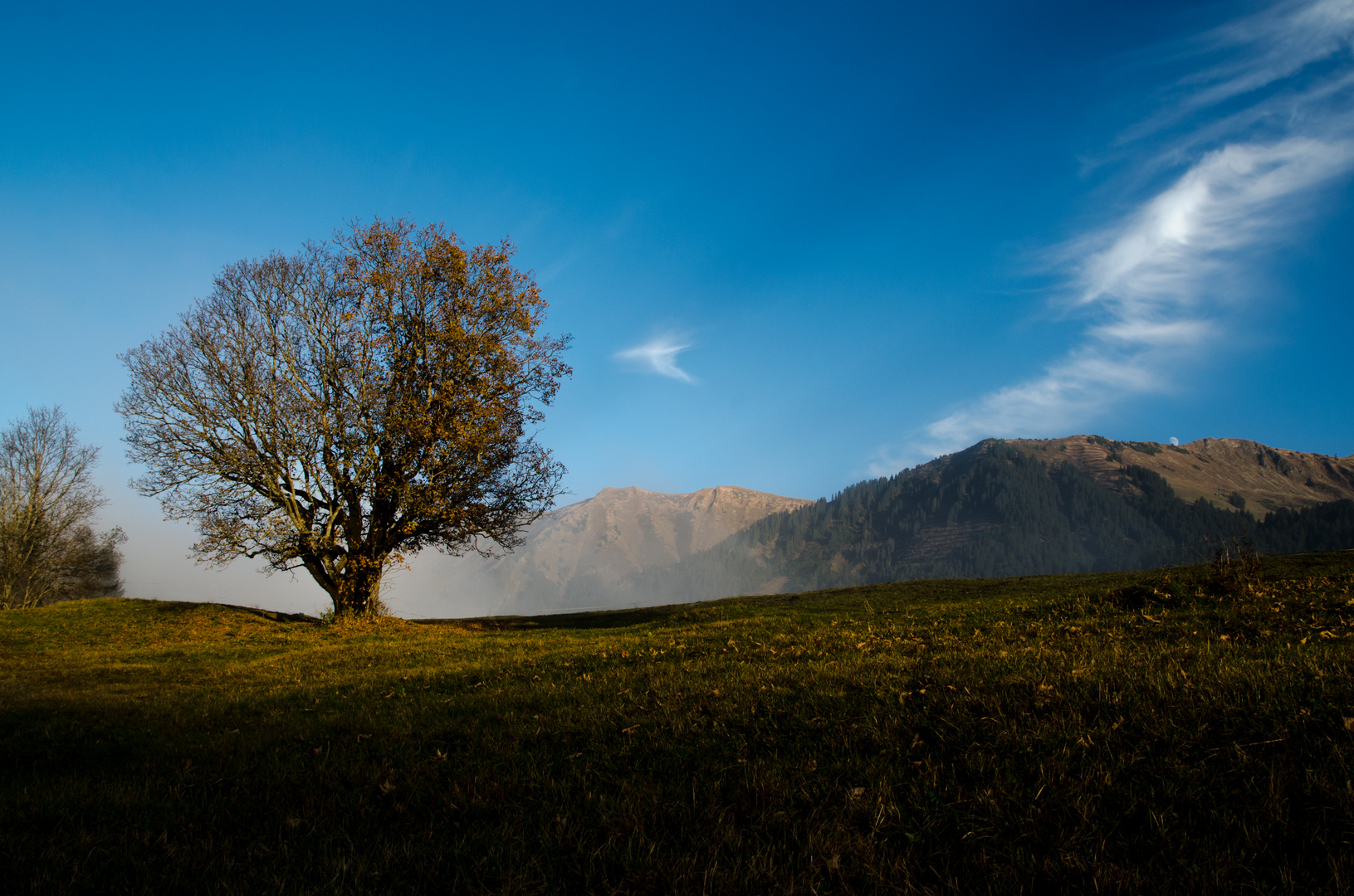 Die letzten Sonnenstrahlen