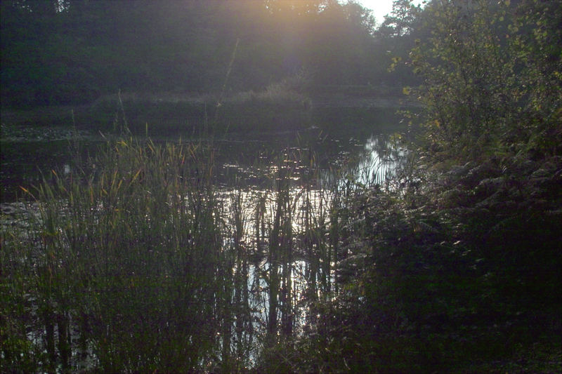 Die letzten Sonnenstrahlen