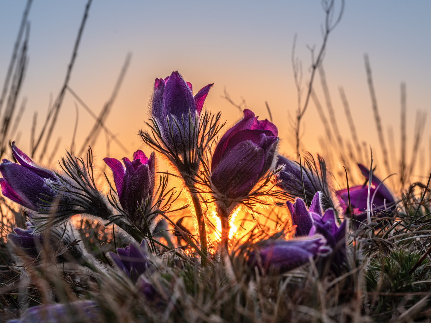 Die letzten Sonnenstrahlen ....