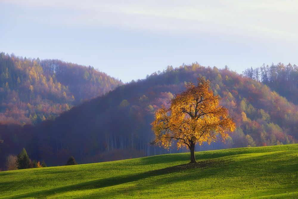 Die letzten Sonnenstrahlen