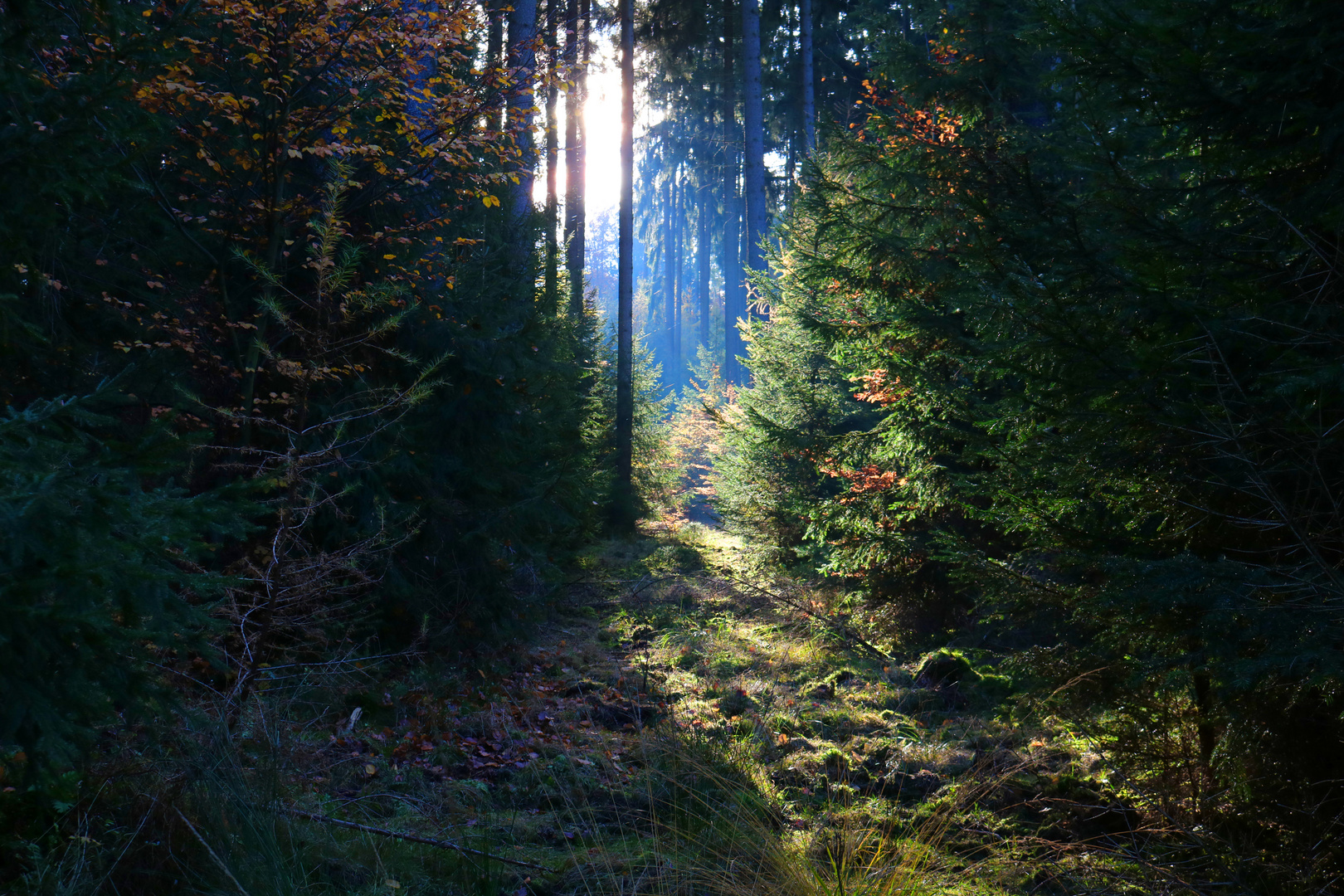 die letzten Sonnenstrahlen