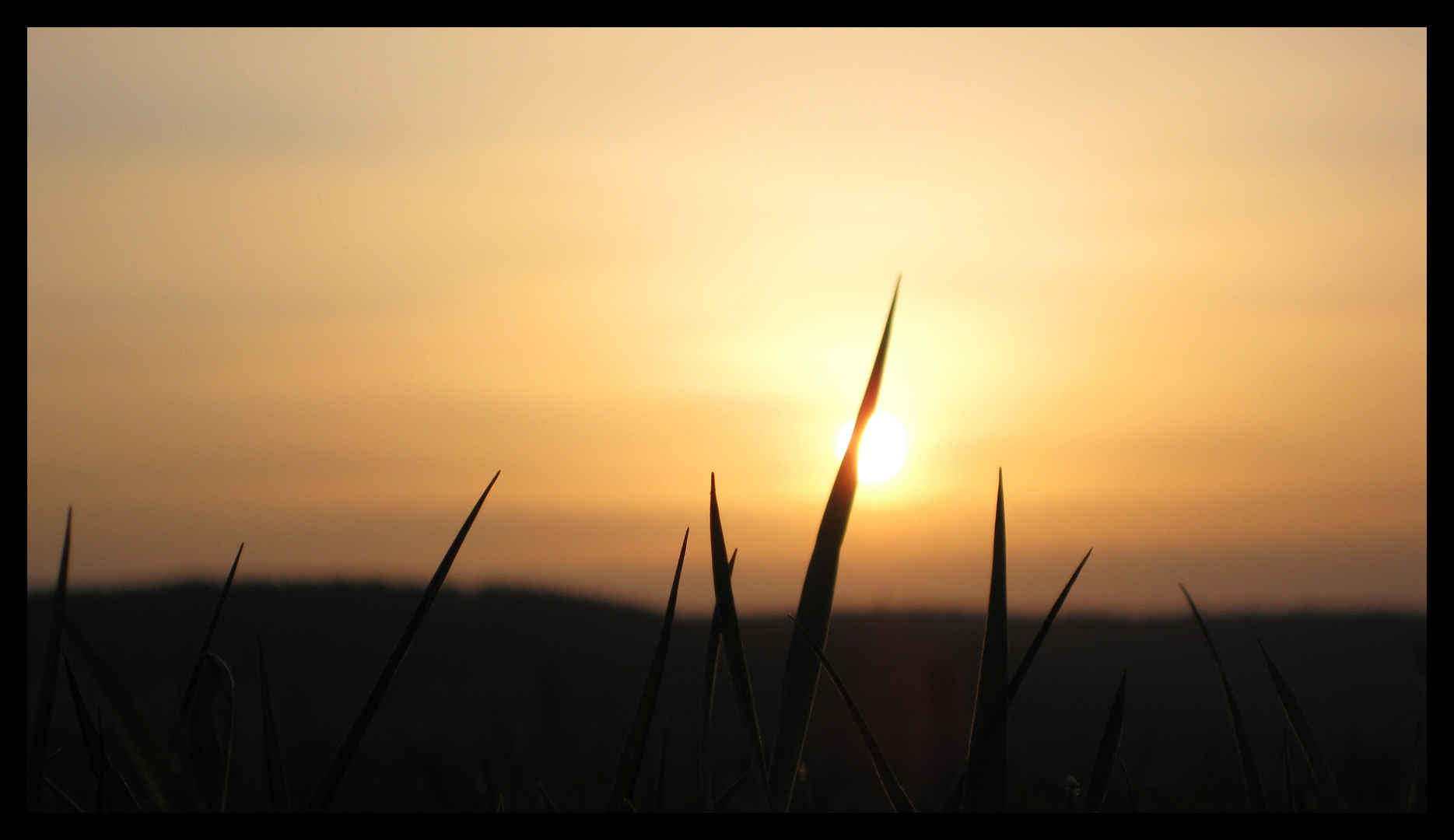 Die letzten sonnenstrahlen.