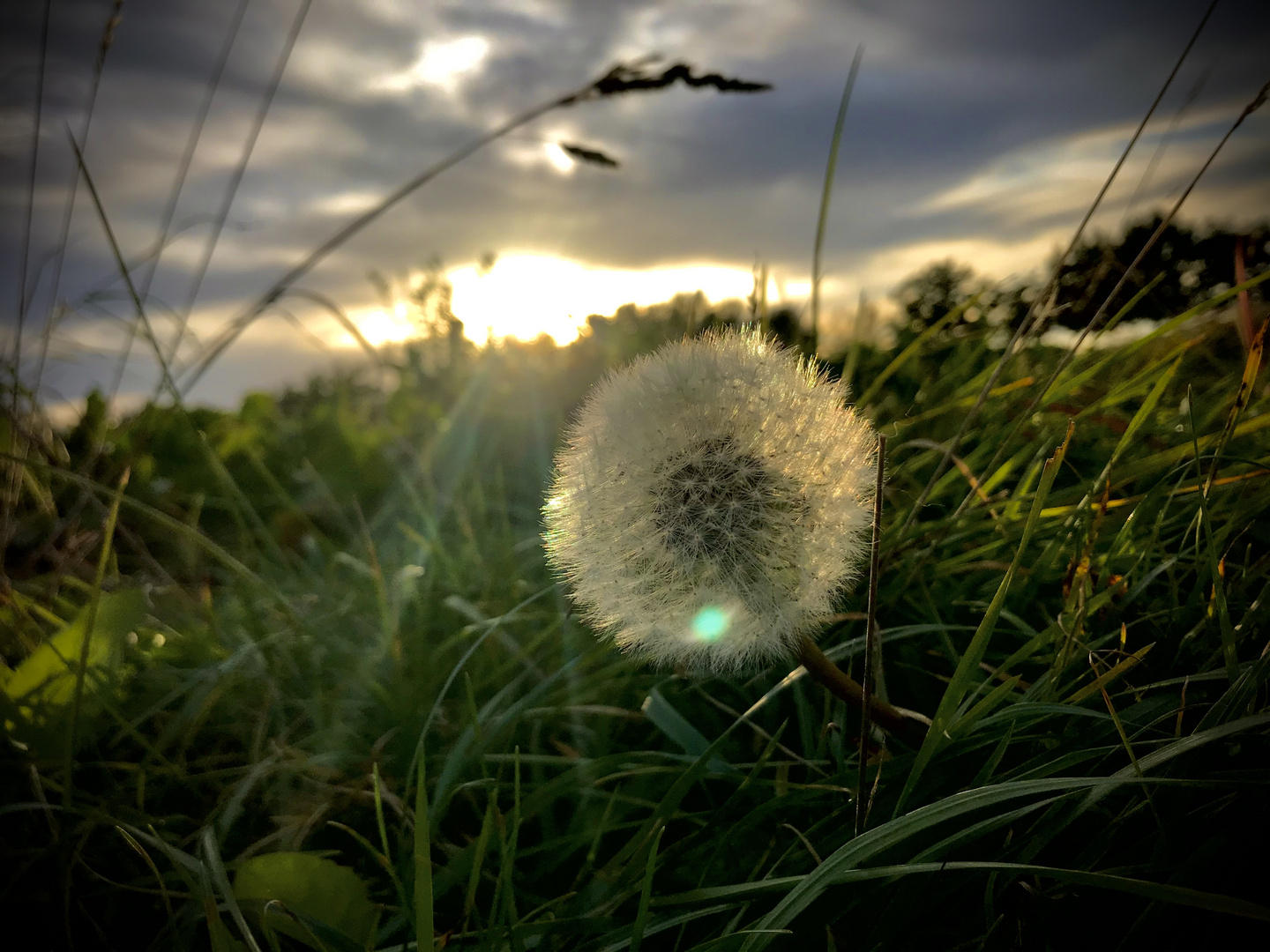 Die letzten Sonnenstrahlen 