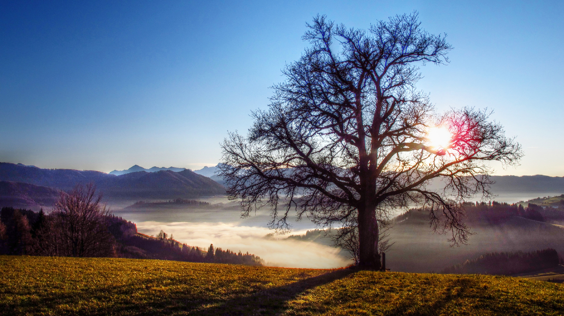 Die letzten Sonnenstrahlen