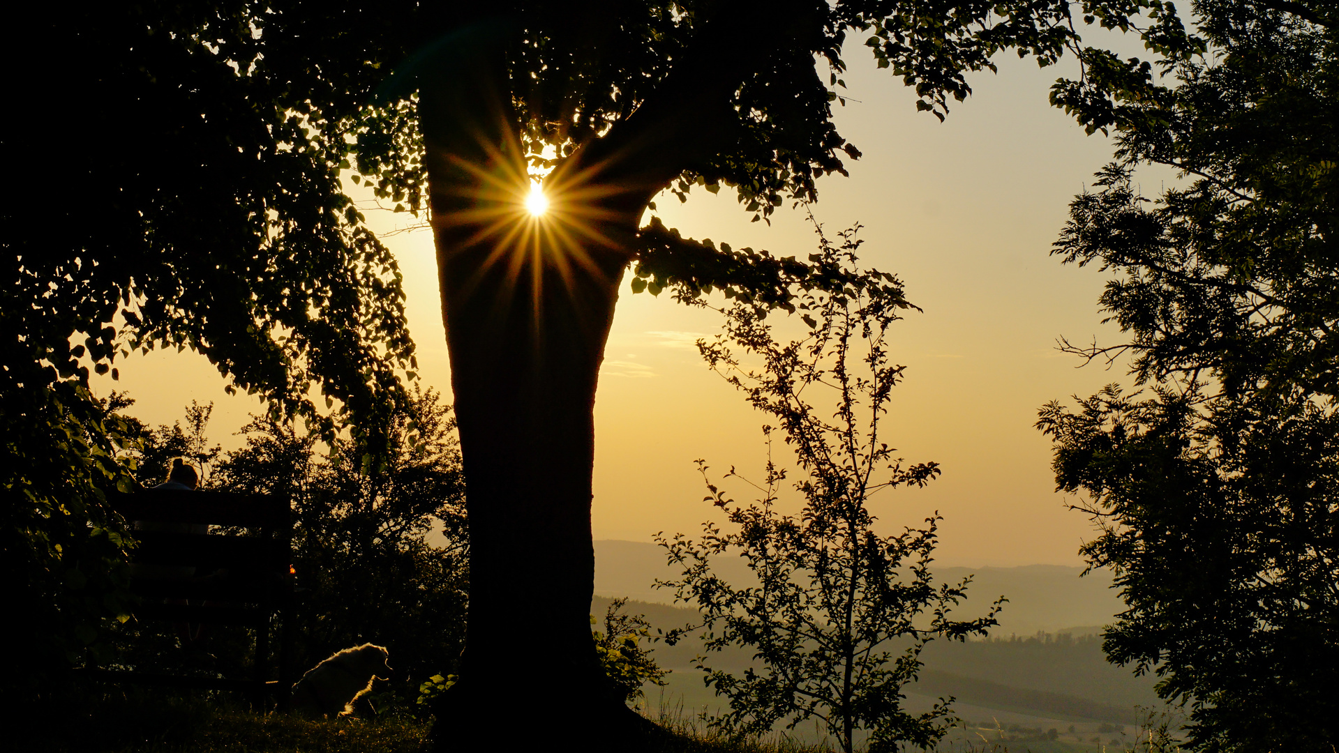 Die letzten Sonnenstrahlen