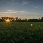 Die letzten Sonnenstrahlen...