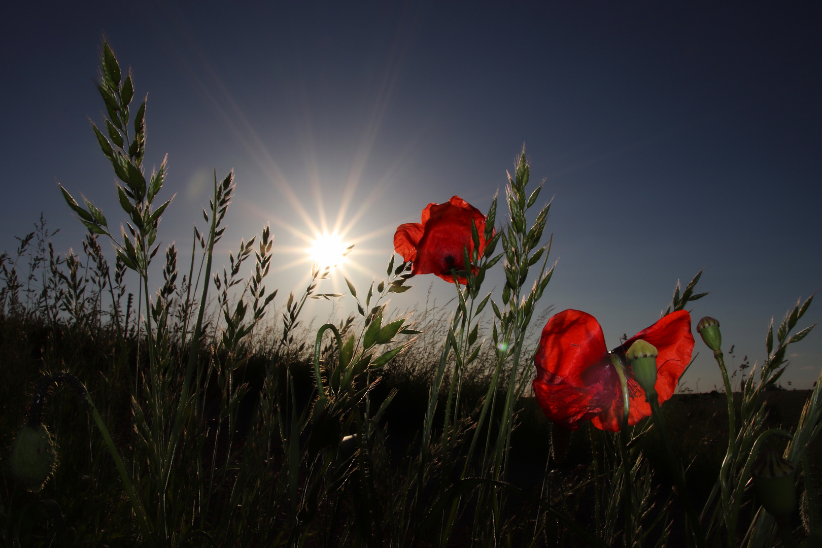 Die letzten Sonnenstrahlen