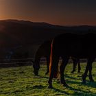 Die letzten Sonnenstrahlen...