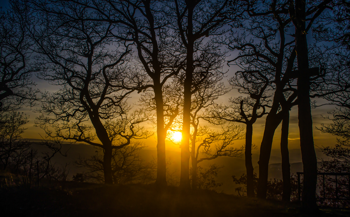 Die letzten  Sonnenstrahlen