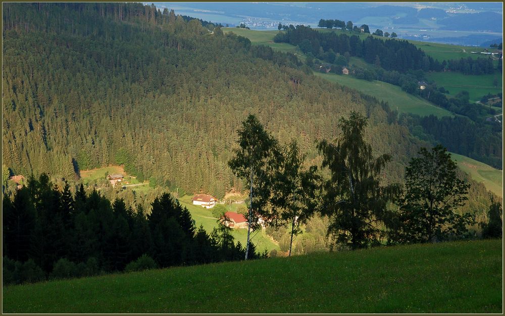 Die letzten Sonnenstrahlen am Abend