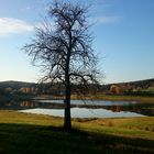 Die letzten Sonnenstrahlen am Eixendorferstausee