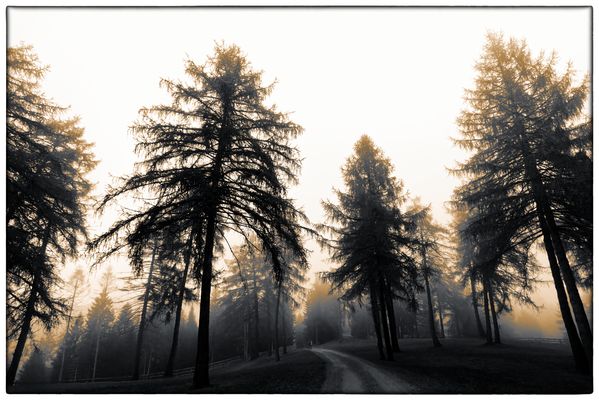 „ Die letzten Sonnenstrahlen “