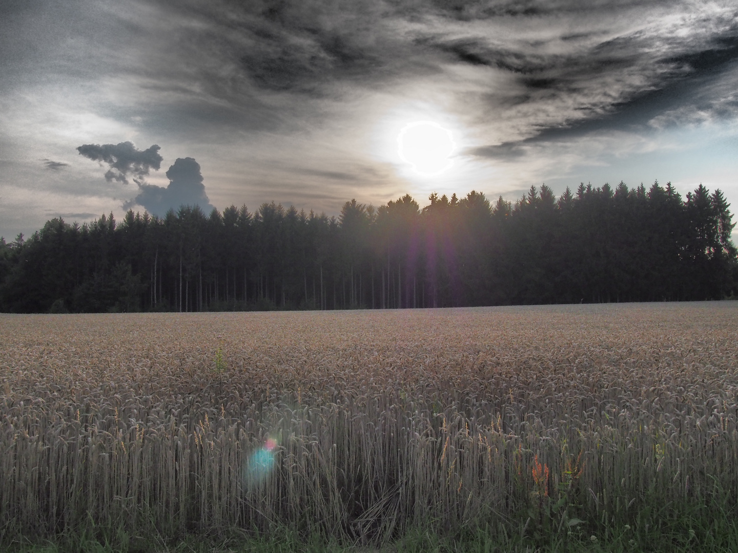 Die letzten Sonnenstrahlen