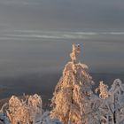 Die letzten Sonnenstrahlen