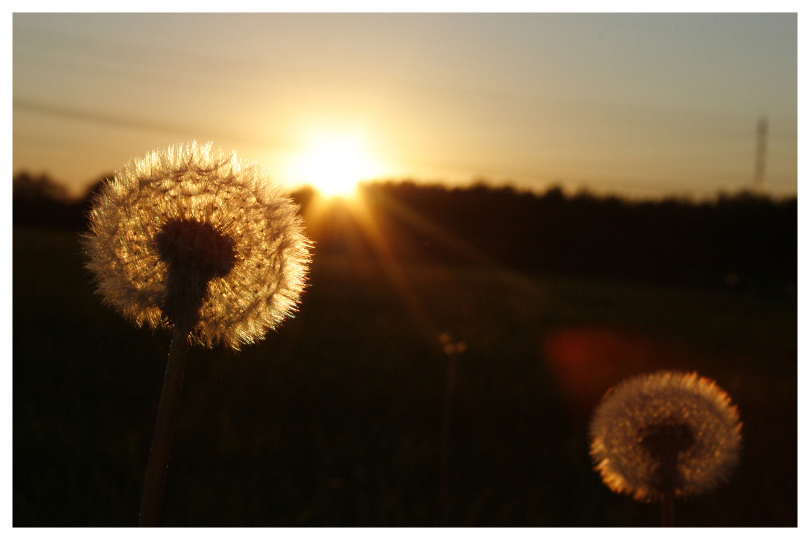 Die letzten Sonnenstrahlen