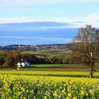 die letzten sonnenstrahlen